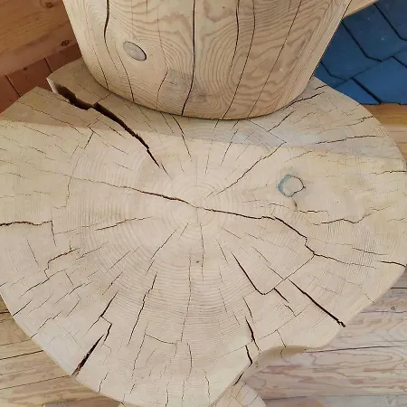 Naturstammhaus Tollensesee Chalet *