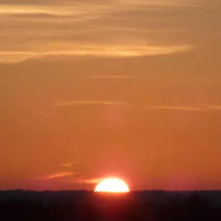 Naturstammhaus Tollensesee Chalet