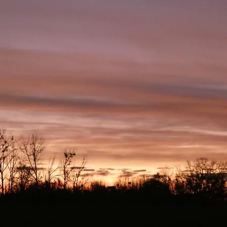 Naturstammhaus Tollensesee Chalet Groß Nemerow