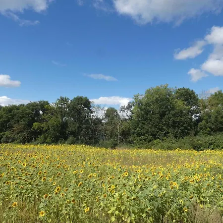 Naturstammhaus Tollensesee *