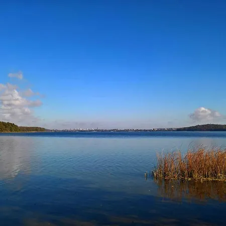 Naturstammhaus Tollensesee *