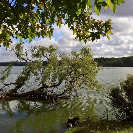 Naturstammhaus Tollensesee