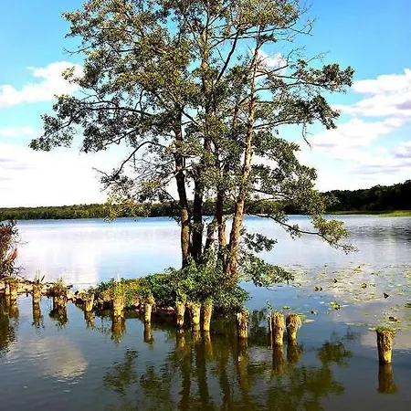 Naturstammhaus Tollensesee