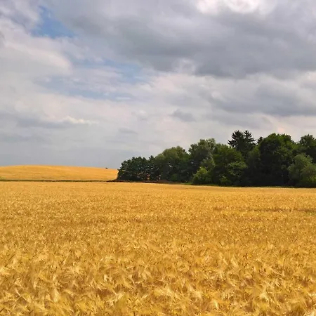 Naturstammhaus Tollensesee Chalet *