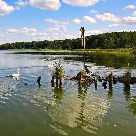 Naturstammhaus Tollensesee Groß Nemerow