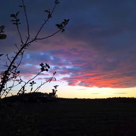 Naturstammhaus Tollensesee * Groß Nemerow