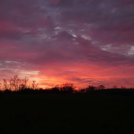 Chalet Naturstammhaus Tollensesee