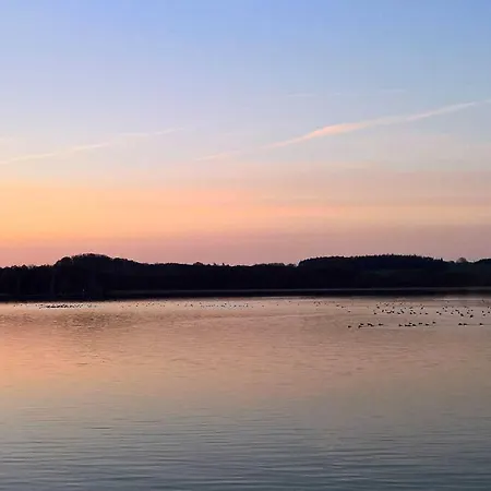 Chalet Naturstammhaus Tollensesee *