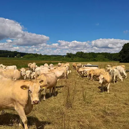 Naturstammhaus Tollensesee Groß Nemerow