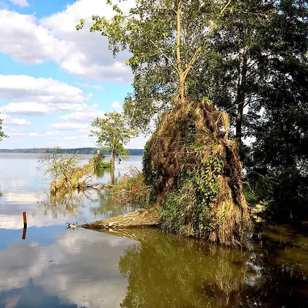 Naturstammhaus Tollensesee