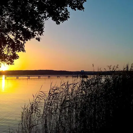 Chalet Naturstammhaus Tollensesee Groß Nemerow