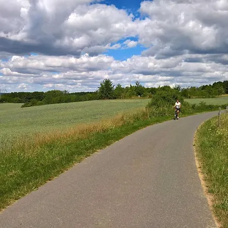 Naturstammhaus Tollensesee