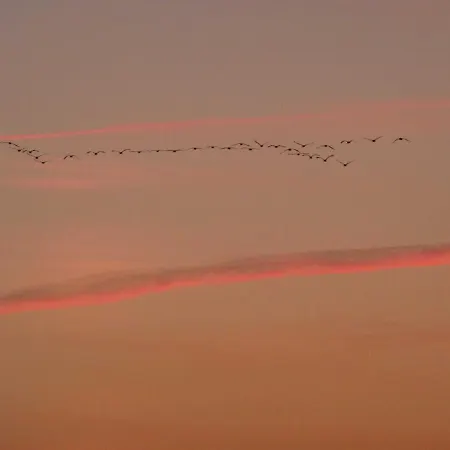 Chalet Naturstammhaus Tollensesee Groß Nemerow
