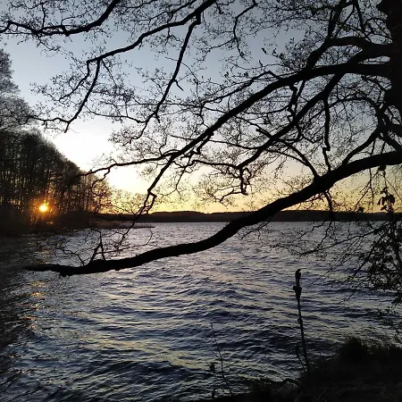 Naturstammhaus Tollensesee Chalet *